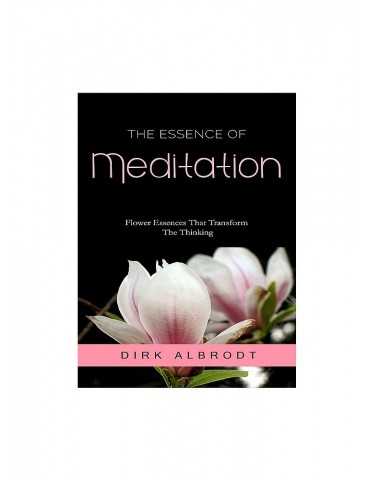 PDF: The Essence of Meditation