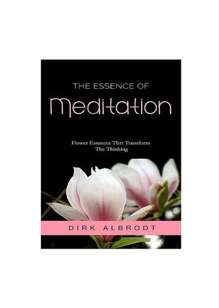 Dirk Albrodt - The Essence of Meditation