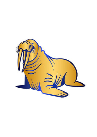 Walrus