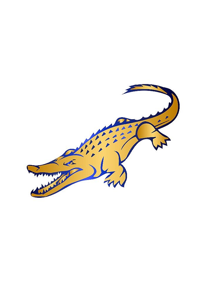 Alligator