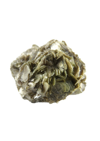 Muscovite