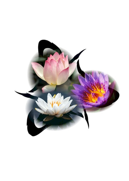 Lotus-Trio