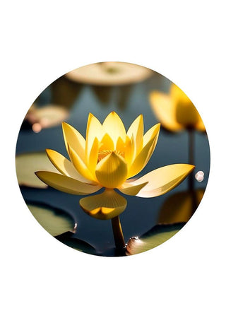 Yellow Lotus