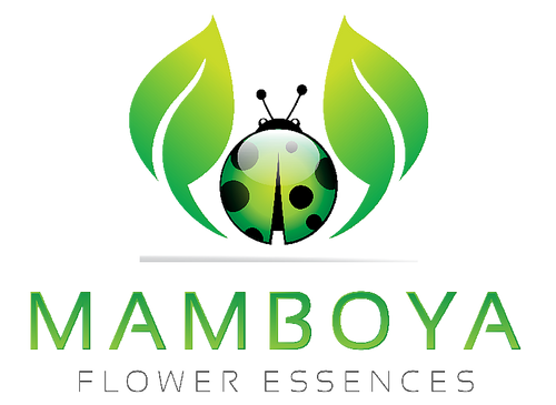 Mamboya Flower Essences