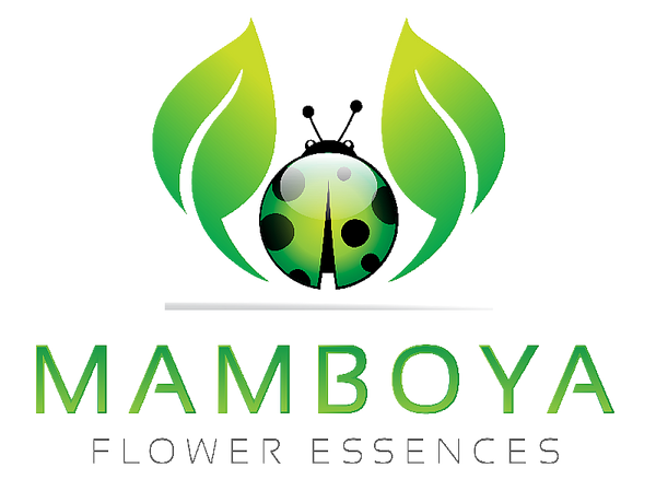 Mamboya Flower Essences